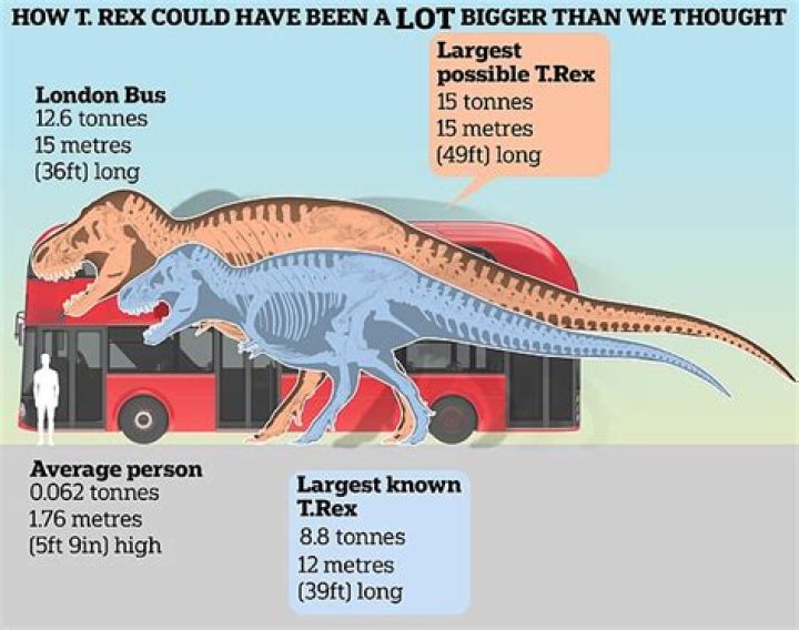 T-Rex Height, Weight, Net Worth, Age, Birthday, Wikipedia, Who, Nationality, Biography