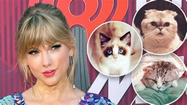 Taylor Swift’s Cats Olivia Benson and Meredith Grey’s Net Worths Are Higher Than Most Hollywood A-listers