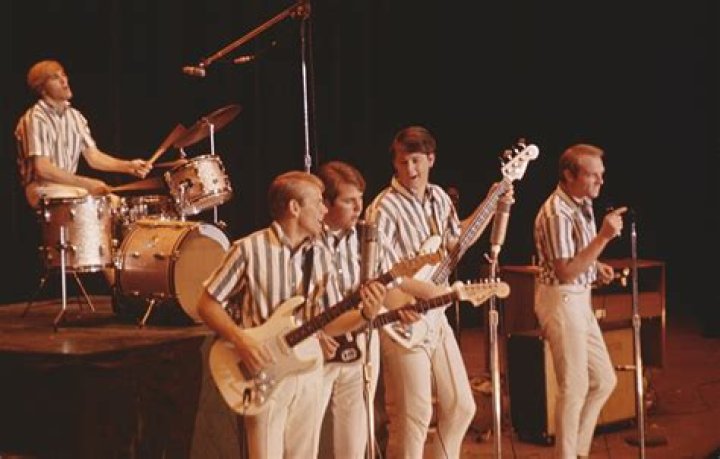 The Beach Boys Biography, Age, Height, Wife, Net Worth, Family