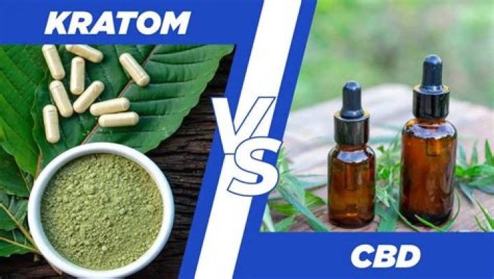 The Difference Between Kratom vs. CBD (Plus Our Favorite Products)