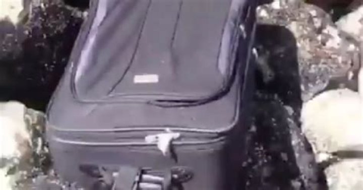 TikTok Teens Discover Human Remains In Luggage On Seattle Beach