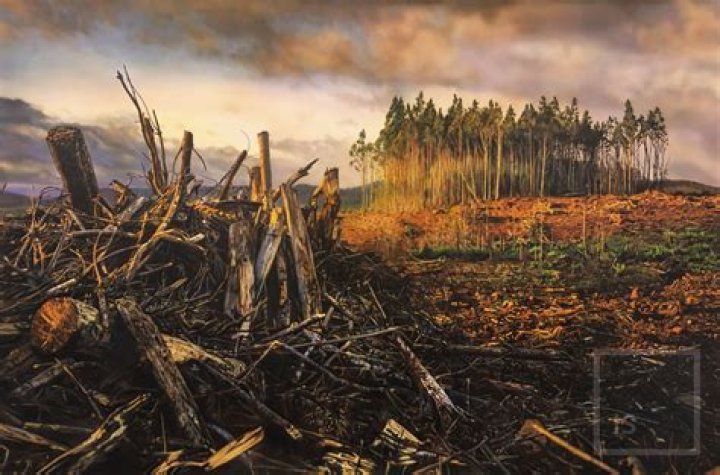 Todd Simpson Biography, Age, Height, Wife, Net Worth, Family