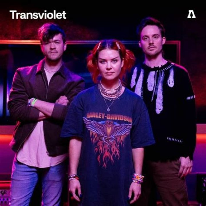 Transviolet (Band) - Members profile, Facts, Wiki, Achievements, Net worth 2024 (updated)