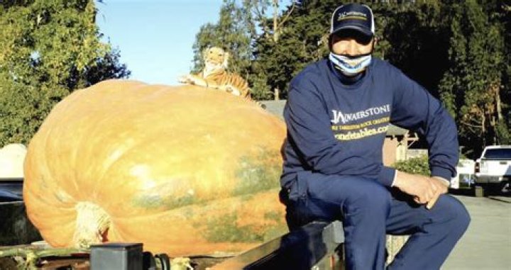 2,350-Pound Gourd Named 'Tiger King' Wins 'Super Bowl Of Pumpkins'