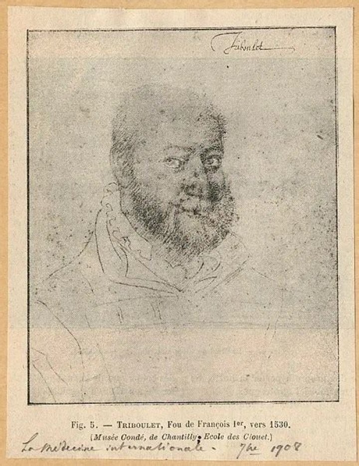 Triboulet, The Court Jester Whose Wit Saved His Life