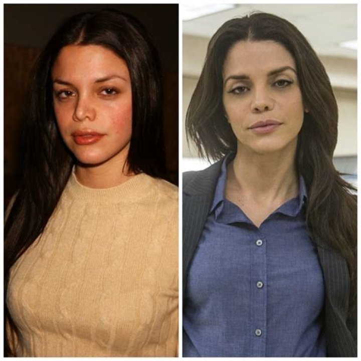 Did Vanessa Ferlito Get Plastic Surgery? See the ‘NCIS’ Star’s Transformation!
