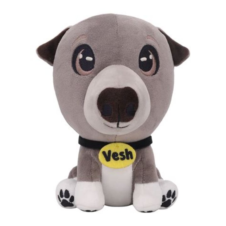 Veshremy (YouTube Star) - Age, Birthday, Bio, Facts, Family, Net Worth, Height & More