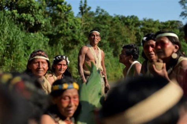 Indigenous Tribe Wins Right To Protect Ancestral Lands Against Oil