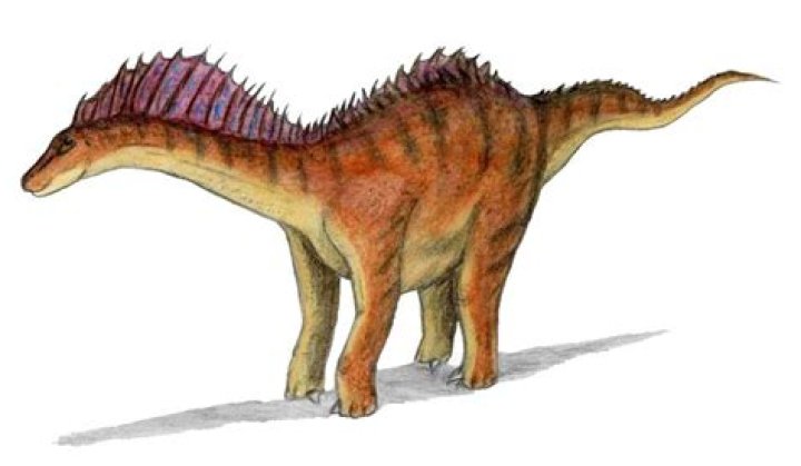 The Six Weirdest Dinosaurs To Actually Exist