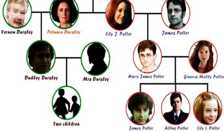 ¿Cuáles son todas las familias en Harry Potter? – Celebrity.fm