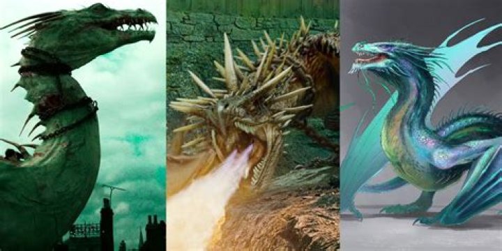 What are the 4 dragons in Harry Potter? – Celebrity.fm – #1 Official Stars, Business & People Network, Wiki, Success story, Biography & Quotes