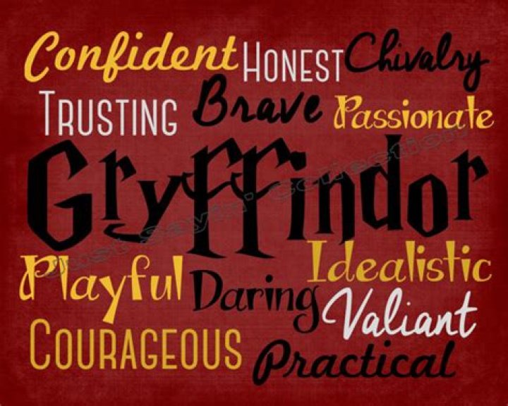 ویژگی های گریفیندور چیست؟