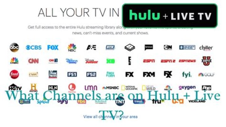 ¿Qué canales captas en Hulu? – Celebrity.fm