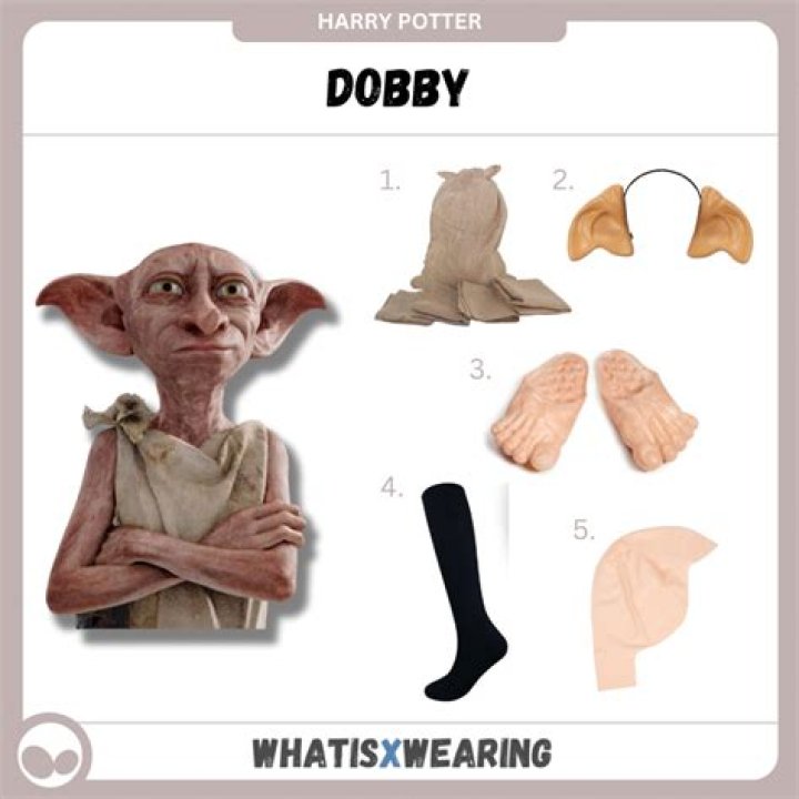 What clothes does Dobby wear? – Celebrity.fm – #1 Official Stars, Business & People Network, Wiki, Success story, Biography & Quotes