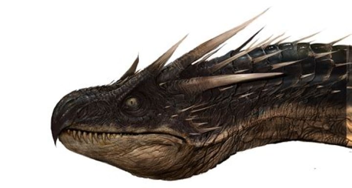 What does a Peruvian Vipertooth dragon look like?