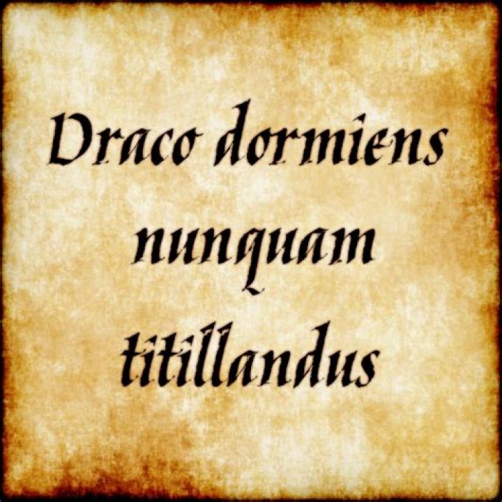 What does Draco Dormiens Nunquam Titillandus mean in Latin?