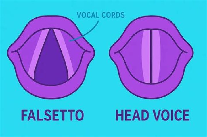 ¿Que Quiere decir la palabra falsete en ingles? – Celebrity.fm
