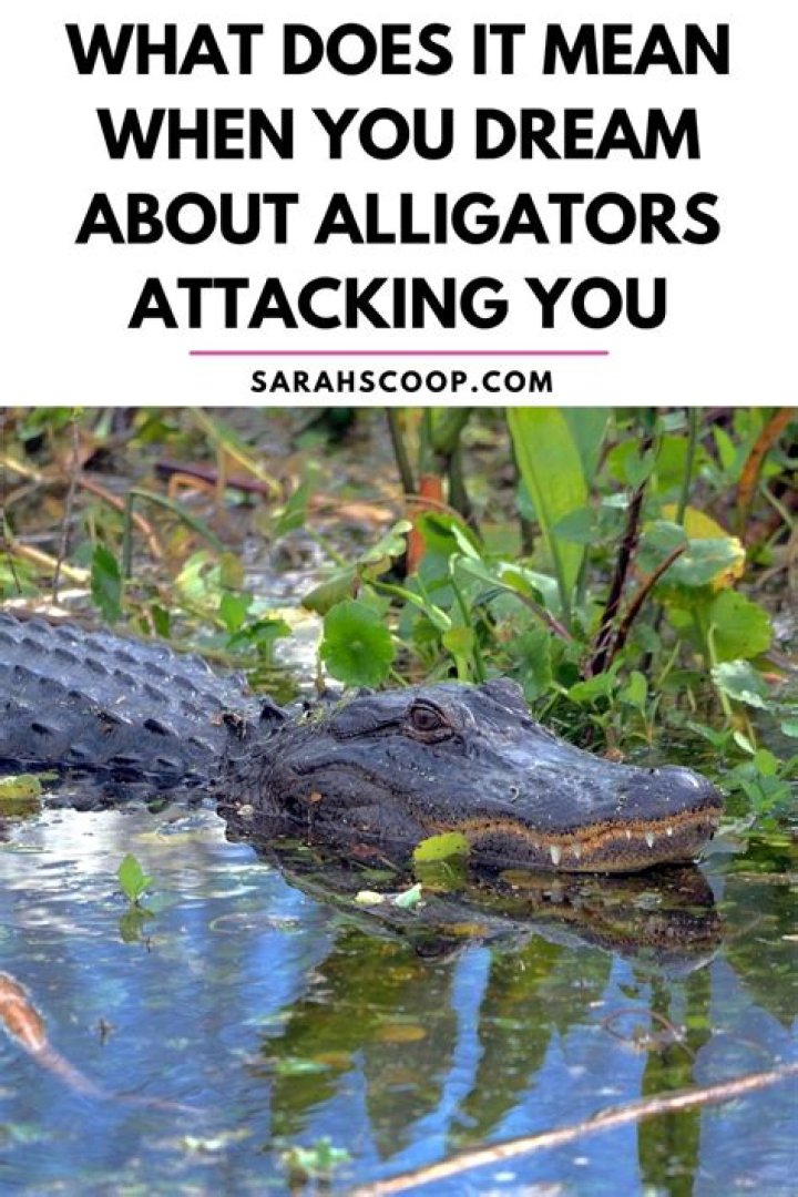 What does it mean to dream about animals attacking you?