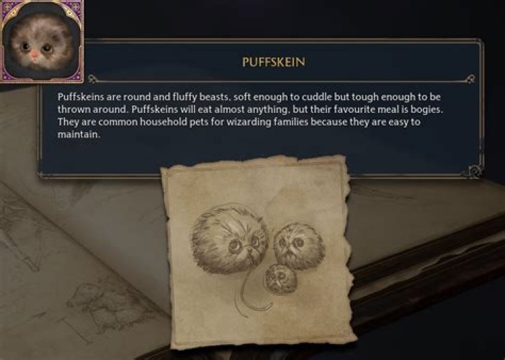 What does Ron suspect happened to his pet Puffskein?