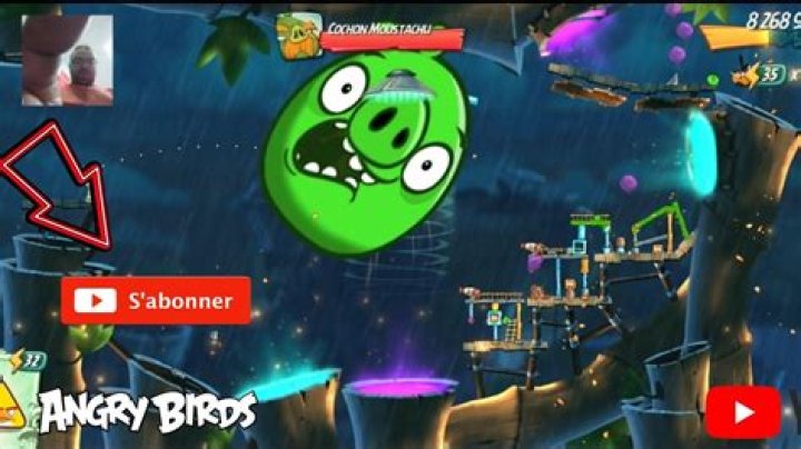What does the Orange Bird do in Angry birds?