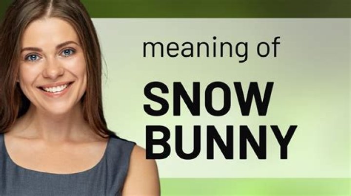 What does the slang term bunny boiler mean?