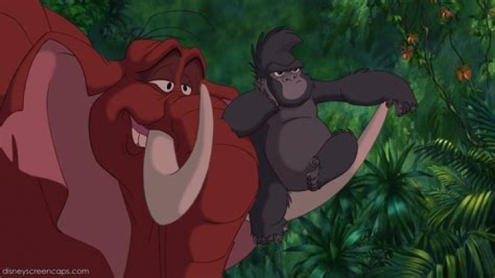 What gender is Terk From Tarzan movie? – Celebrity.fm – #1 Official Stars, Business & People Network, Wiki, Success story, Biography & Quotes