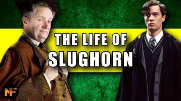 What house is Horace Slughorn in?