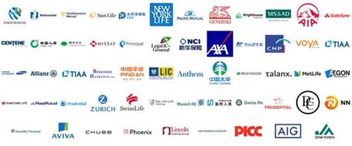 What insurance company did Todd Miner work for?