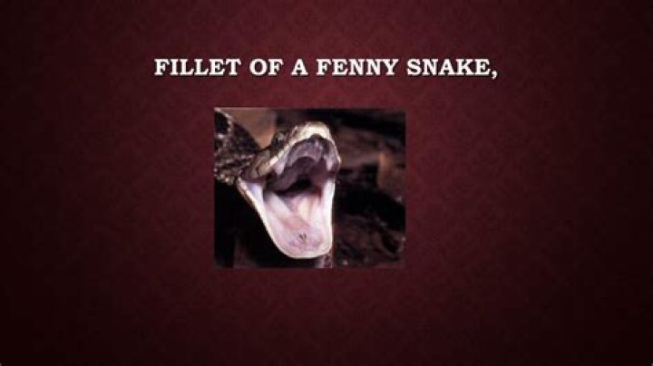What is a Fenny Snake in Macbeth?
