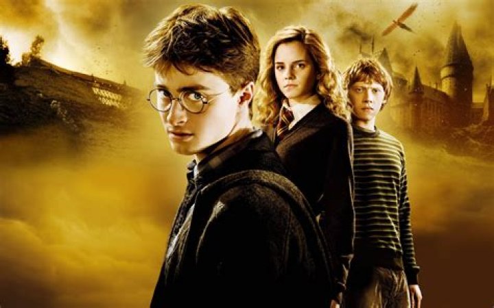 What is DMLE in Harry Potter? – Celebrity.fm – #1 Official Stars, Business & People Network, Wiki, Success story, Biography & Quotes