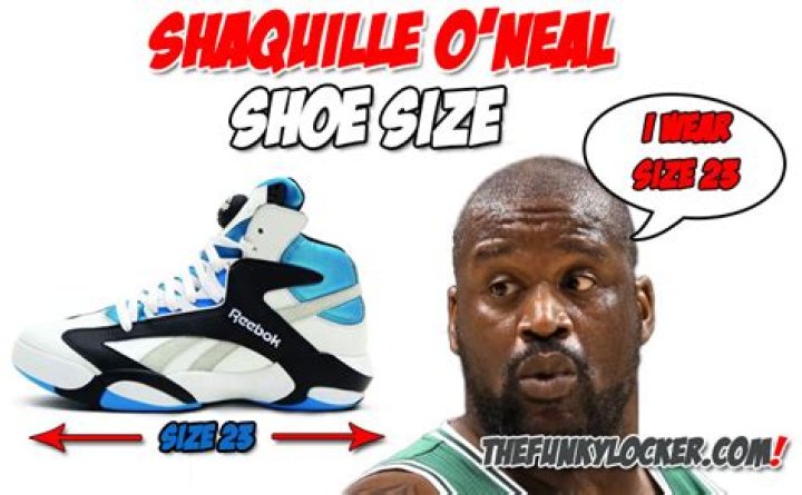 ¿Cuál es la talla de zapatos de Shaquille O Neal? – Celebrity.fm