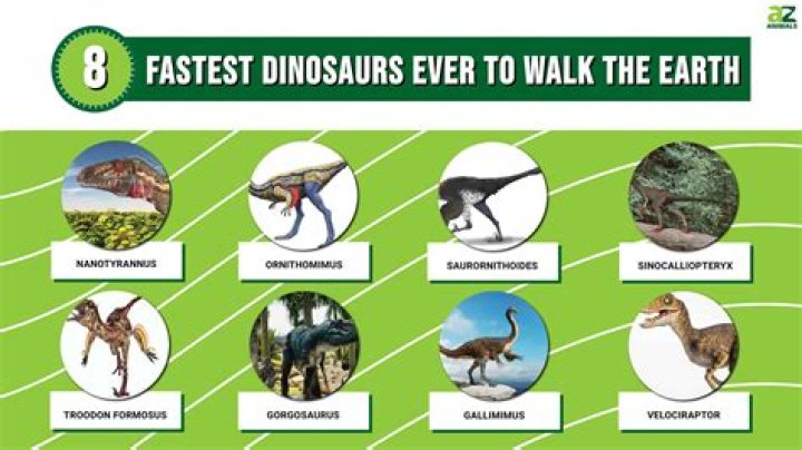 What is the 2nd fastest dinosaur? – Celebrity.fm – #1 Official Stars, Business & People Network, Wiki, Success story, Biography & Quotes