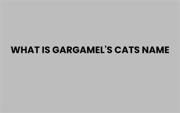 ¿Cómo se llama el gato de Gargamel? – Celebrity.fm