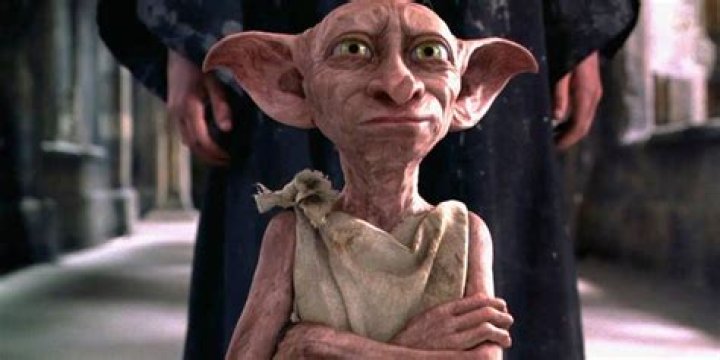 What is the name of the house-elf in Harry Potter?