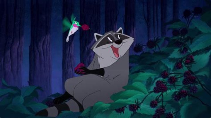 What is the raccoon in Pocahontas called? – Celebrity.fm – #1 Official Stars, Business & People Network, Wiki, Success story, Biography & Quotes
