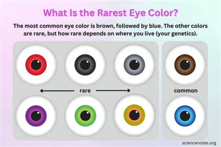 What is the rarest eye color? – Celebrity.fm – #1 Official Stars, Business & People Network, Wiki, Success story, Biography & Quotes