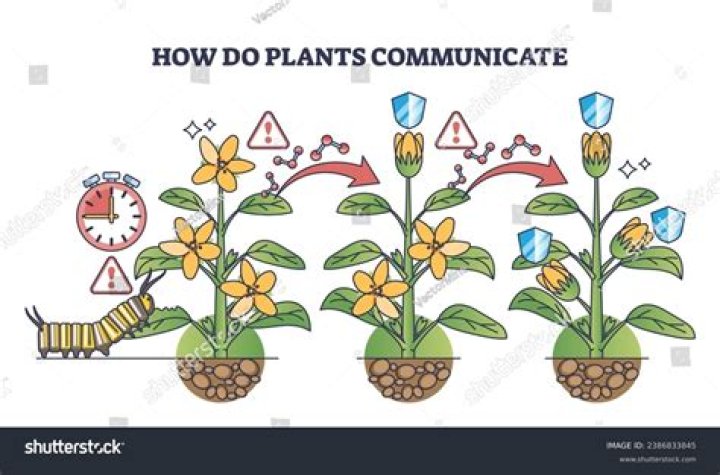 
What Is Tree Challenge TikTok? New Trend Where People Communicate With Their Plants 