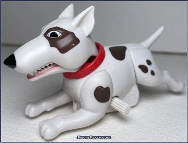 ¿Qué tipo de perro es SCUD? – Celebrity.fm