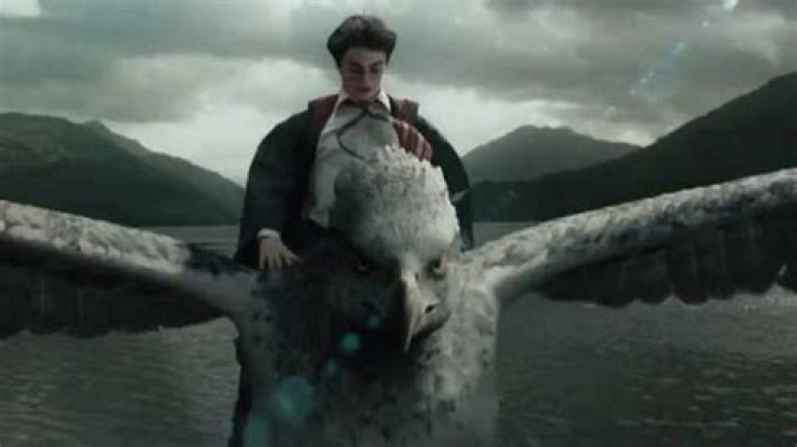 What movie is Buckbeak? – Celebrity.fm – #1 Official Stars, Business & People Network, Wiki, Success story, Biography & Quotes