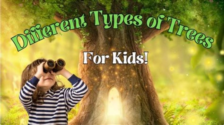 What treed means? – Celebrity.fm – #1 Official Stars, Business & People Network, Wiki, Success story, Biography & Quotes