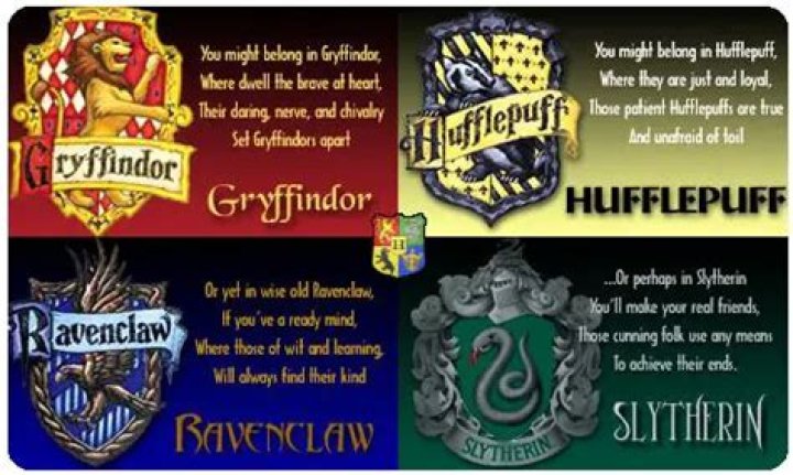 What’s the difference between a Gryffindor and a Hufflepuff?
