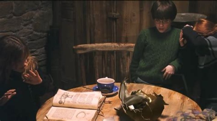 When was Norbert in Harry Potter? – Celebrity.fm – #1 Official Stars, Business & People Network, Wiki, Success story, Biography & Quotes