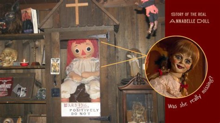 
Who are Annabelle Attanasios Parents? Annabelle Attanasio Biography, Parents Name, Nationality and More 