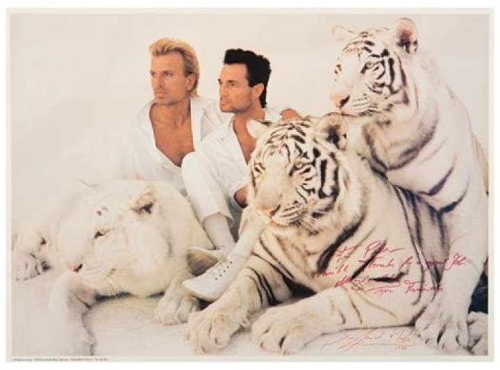 Who has the white tigers in Vegas? – Celebrity.fm – #1 Official Stars, Business & People Network, Wiki, Success story, Biography & Quotes