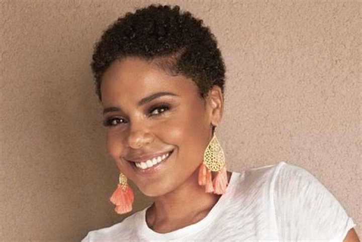 
Who is actress Sanaa Lathan? How tall is she? Her Wiki: Husband, Kids, Net Worth, Dating, Parents 