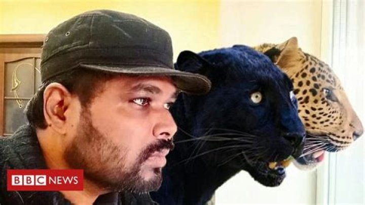 
Who Is Girikumar Patil? Meet The Indian Man That Refuses To Leave Ukraine Without His Pet Animals 