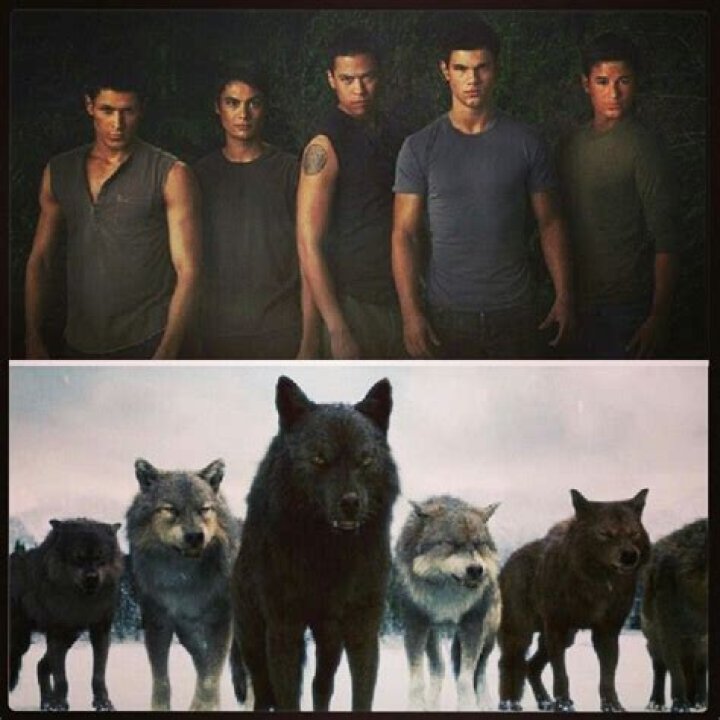 Who played the wolves in Twilight? – Celebrity.fm – #1 Official Stars, Business & People Network, Wiki, Success story, Biography & Quotes