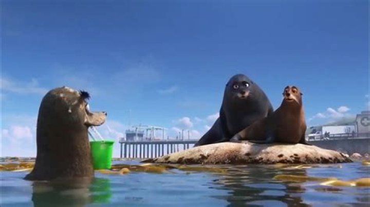 Who was Gerald in Finding Dory? – Celebrity.fm – #1 Official Stars, Business & People Network, Wiki, Success story, Biography & Quotes