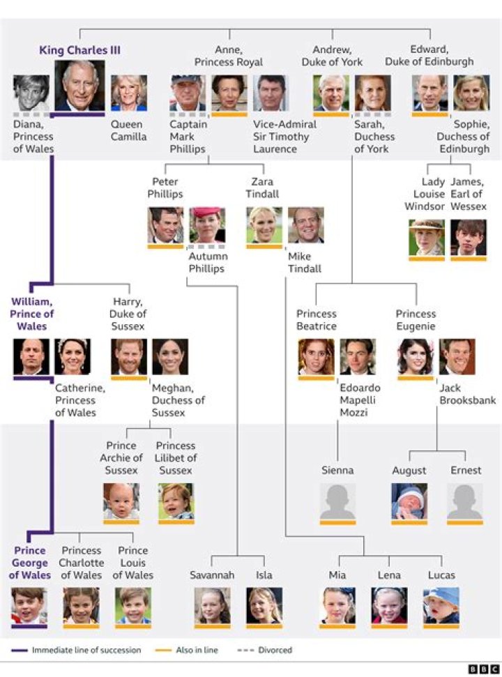 
Who will be British monarch after King Charles? Chain of succession explained 