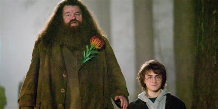 Why can’t Hagrid perform magic? – Celebrity.fm – #1 Official Stars, Business & People Network, Wiki, Success story, Biography & Quotes